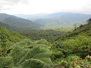 Sustainable roundtrip Costa Rica