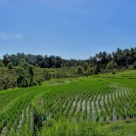 Tabanan and Jatiluwih in Bali
