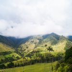 Colombia valle de cocora