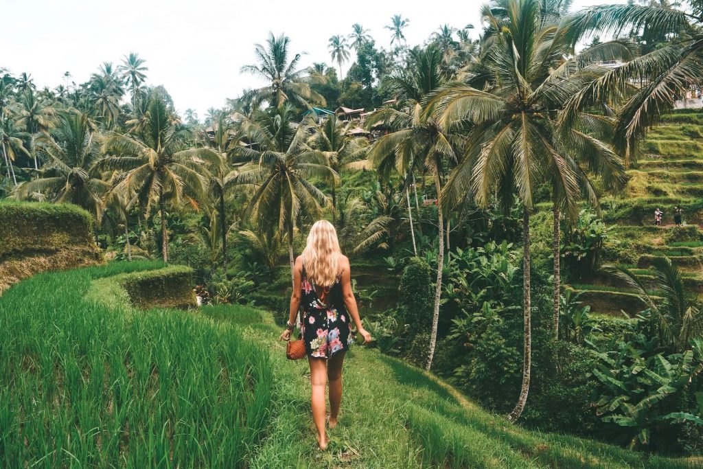 what to do ubud