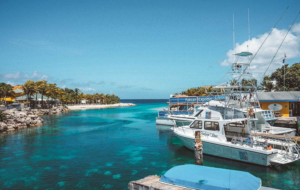 Diving Curacao Ocean Encounters