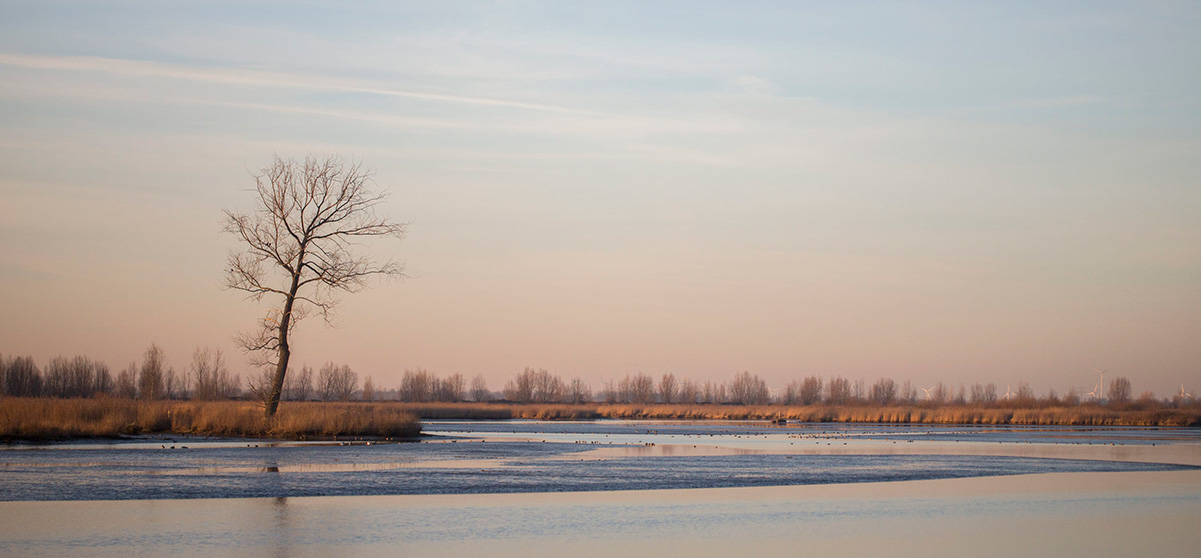 Tiengemeten Wandelgebied Zuid Holland