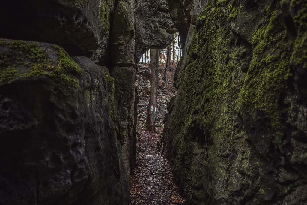 Mullerthal Trail Luxembourg hiking trails
