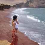 Paracas National Reserve viewpoint
