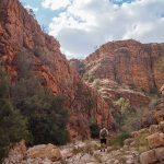 Vallei Olive Trail