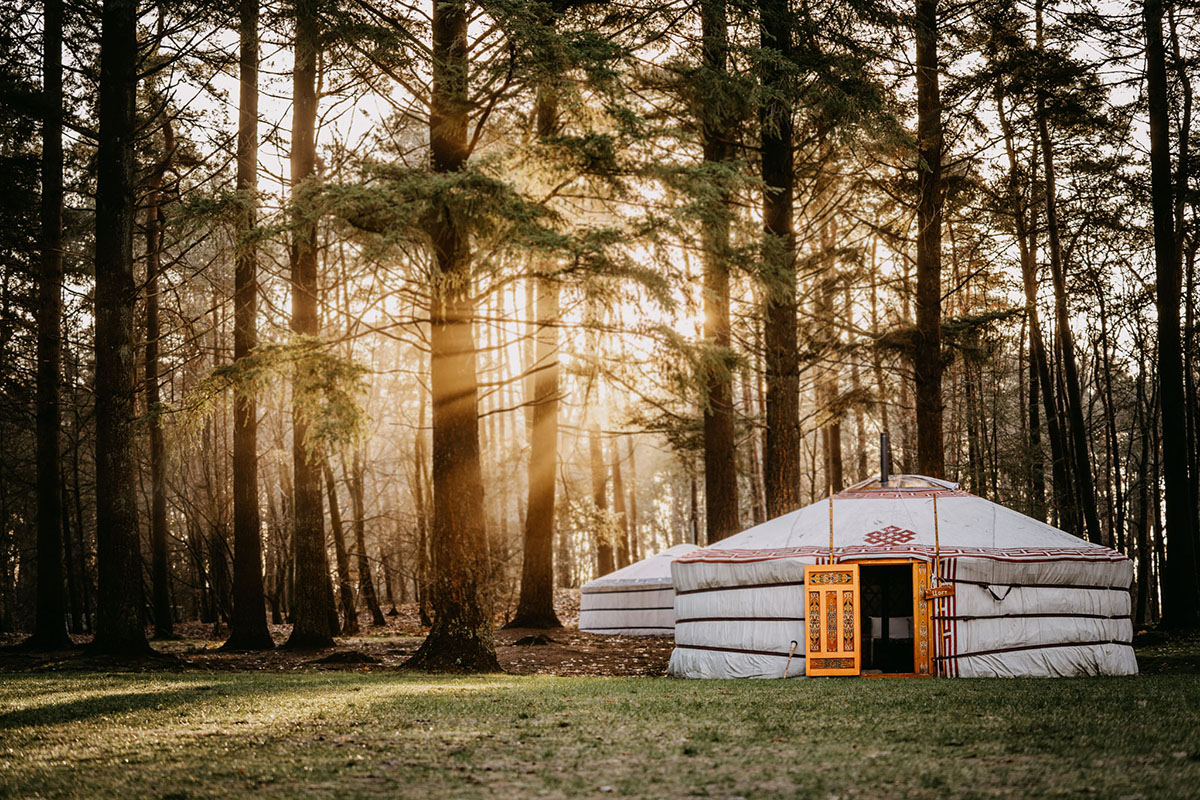 Overnight yurt Winterwoods