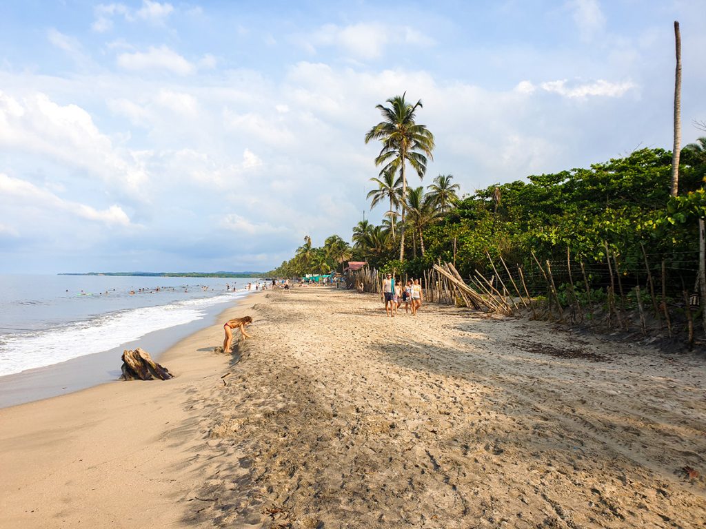 What to do in Palomino Colombia