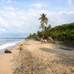 What to do in Palomino Colombia
