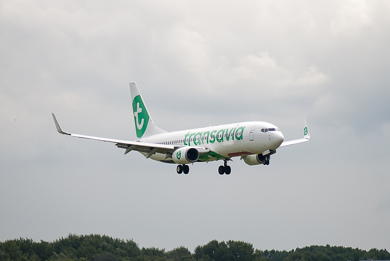 Transavia flight tickets