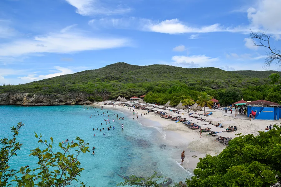 Big Cut Curacao