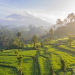 travel tips bali travander