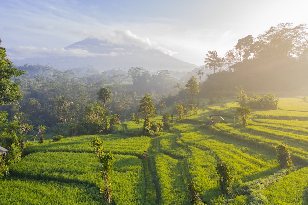 travel tips bali travander