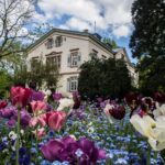 Weinheim Baden-Württemberg