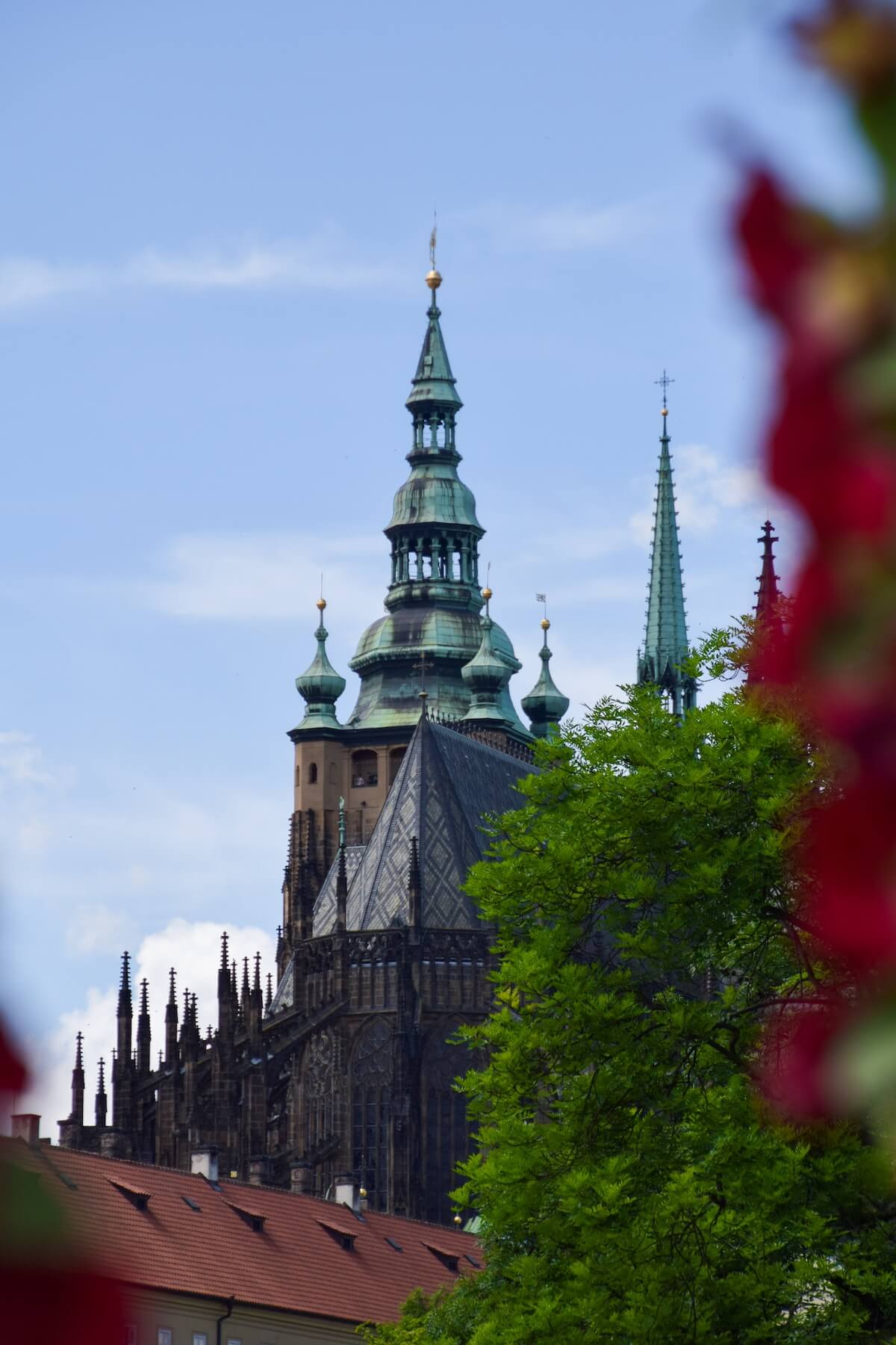 St. Vitus cathedral what to do Prague