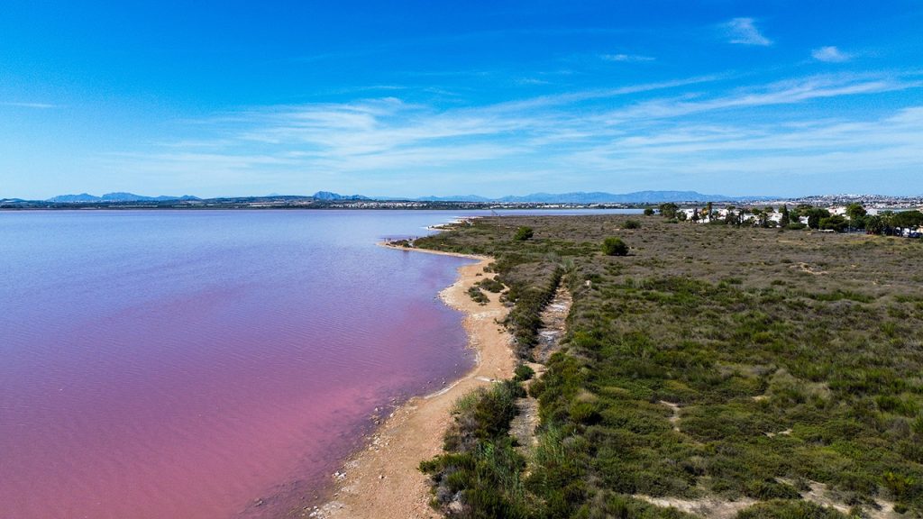 Salt Lake Torrevieja La Mata Spain