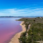 Salt Lake Torrevieja La Mata Spain