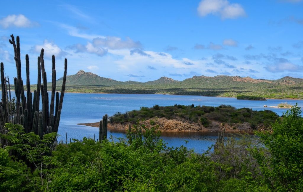 Lake Goto on Bonaire what to do