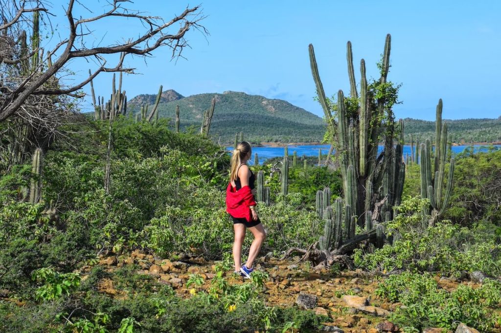 travel tips Bonaire vacation
