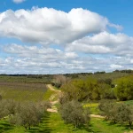 Tips doing in Alentejo Portugal