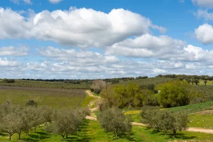 Tips doing in Alentejo Portugal