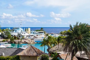 Where to stay Mambo Beach