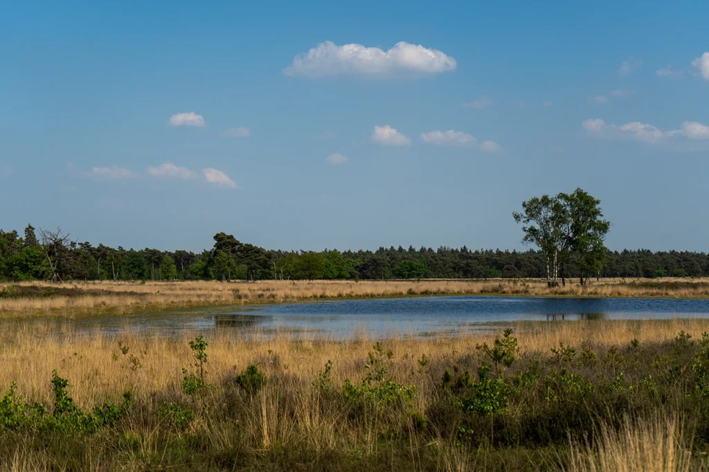 Weekend break in Brabant