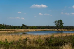 Weekend break in Brabant