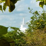 tips-doing-in-anuradhapura-sri-lanka