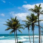 Tropical picture south coast of Sri Lanka