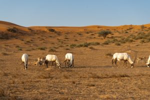 travel-advice-holiday-tips