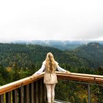 Black Forest Travel Tips