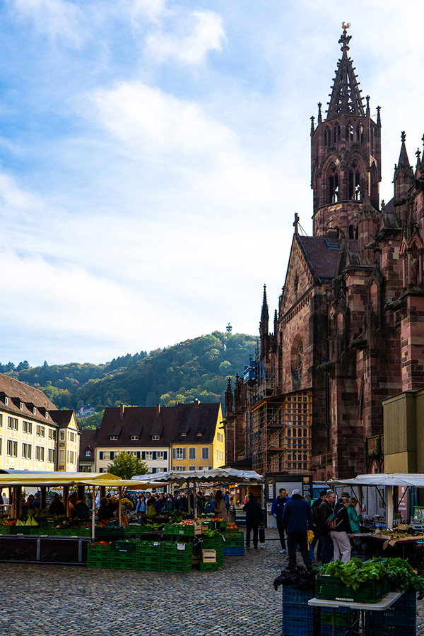 Münstermarkt Freiburg bezoeken