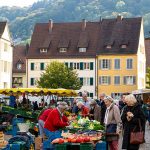 Strolling around the Münstermarkt in Freiburg