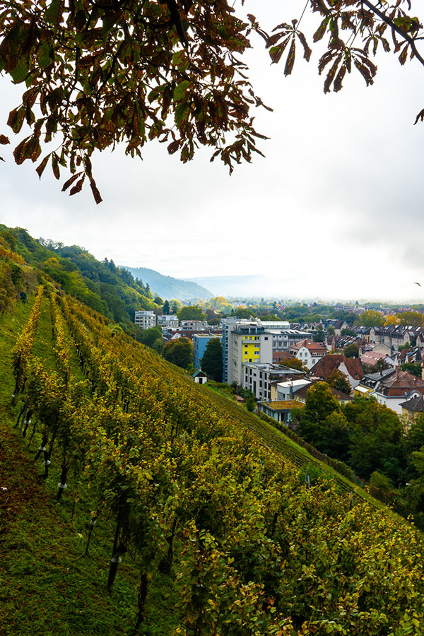 Uitzicht vanaf de Schlossberg