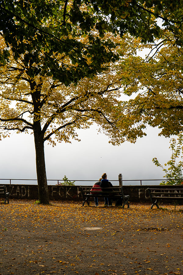 Wandelen Schlossberg Freiburg tip wat te doen