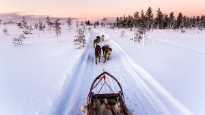Winter in Lapland Levi Yllas