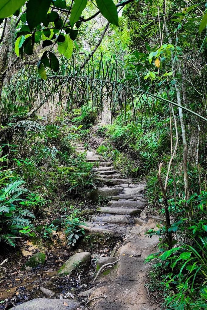 hike lagoinha do leste florianopolis brazil what to do
