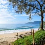 praia do campeche most beautiful beaches florianopolis what to do brazil