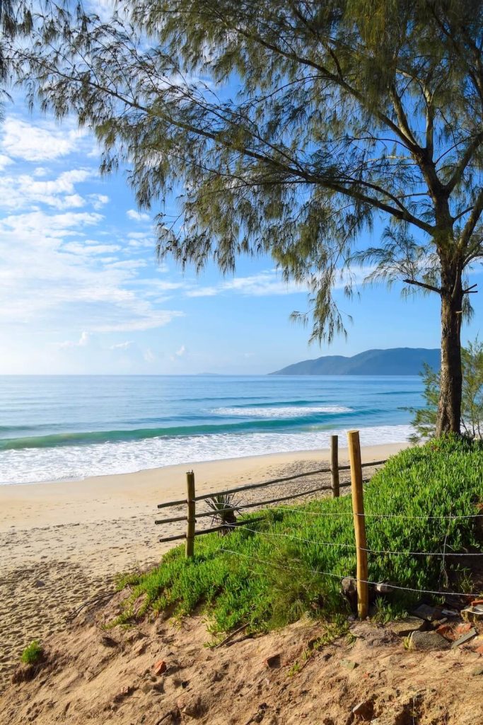 praia do campeche most beautiful beaches florianopolis what to do brazil