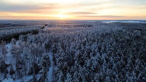 What to do Lake Saima Finland