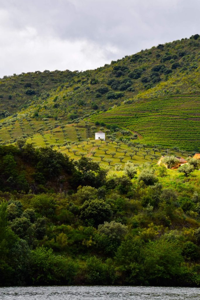 douro river roundtrip portugal authentic off the beaten path