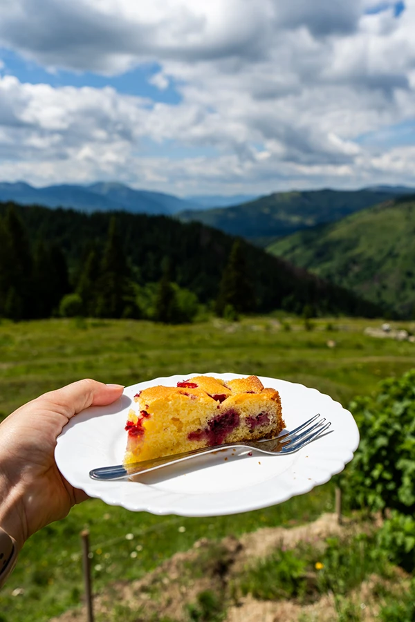 Raspberry Cake during The Balkan Trail, Dobërdol Plav Trail