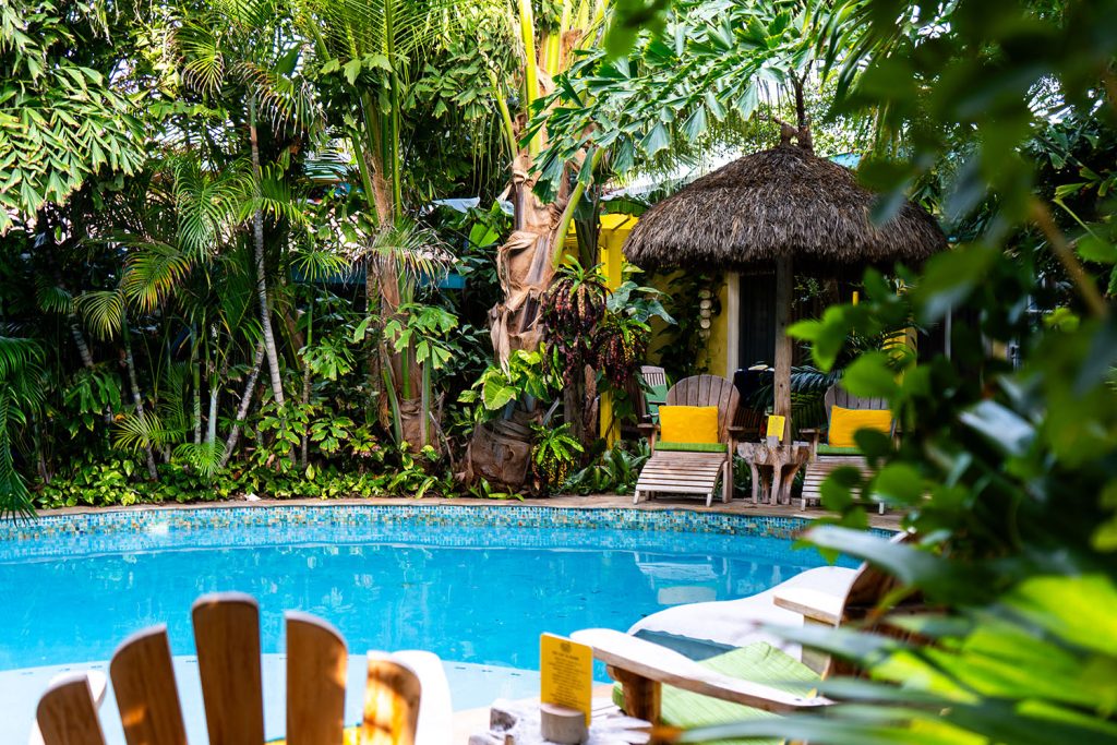 Staying at the Boardwalk Boutique Hotel Aruba: Our Personal Experience, Our Perspective as Travel Advisors, Sun Vacation in Aruba