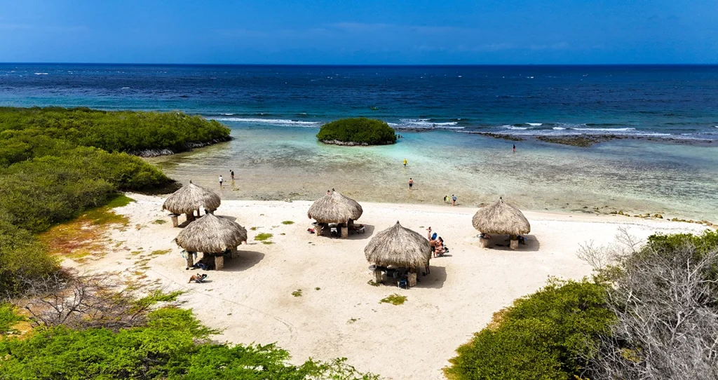 A number of palapas nestled among the mangrove forests of Mangel Halto Beach in Aruba