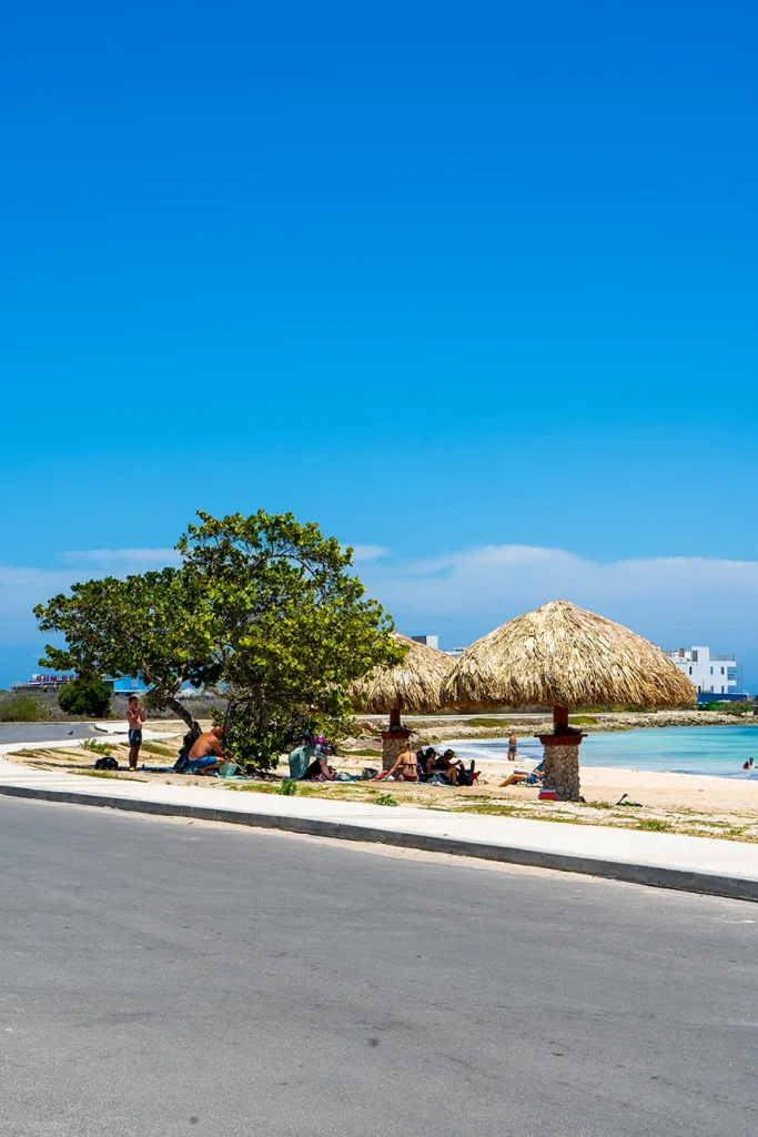 Palapas on the small sandy beach at Rodger's Beach in Aruba