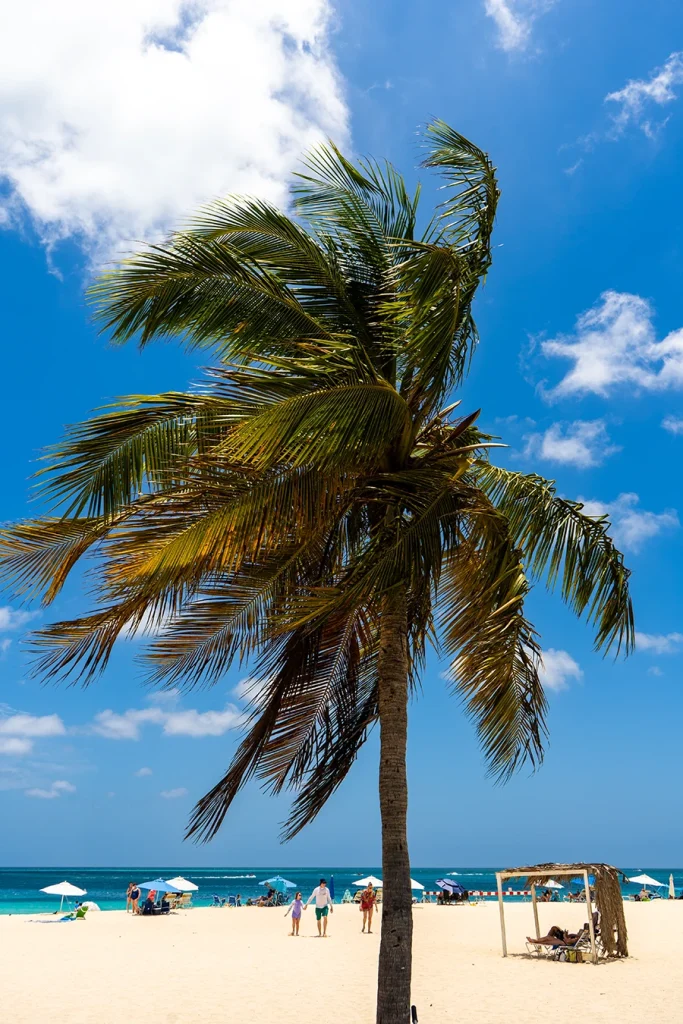A Day at the Beach on Eagle Beach, Aruba