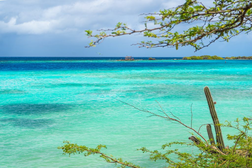 Tips on What to Do in Aruba