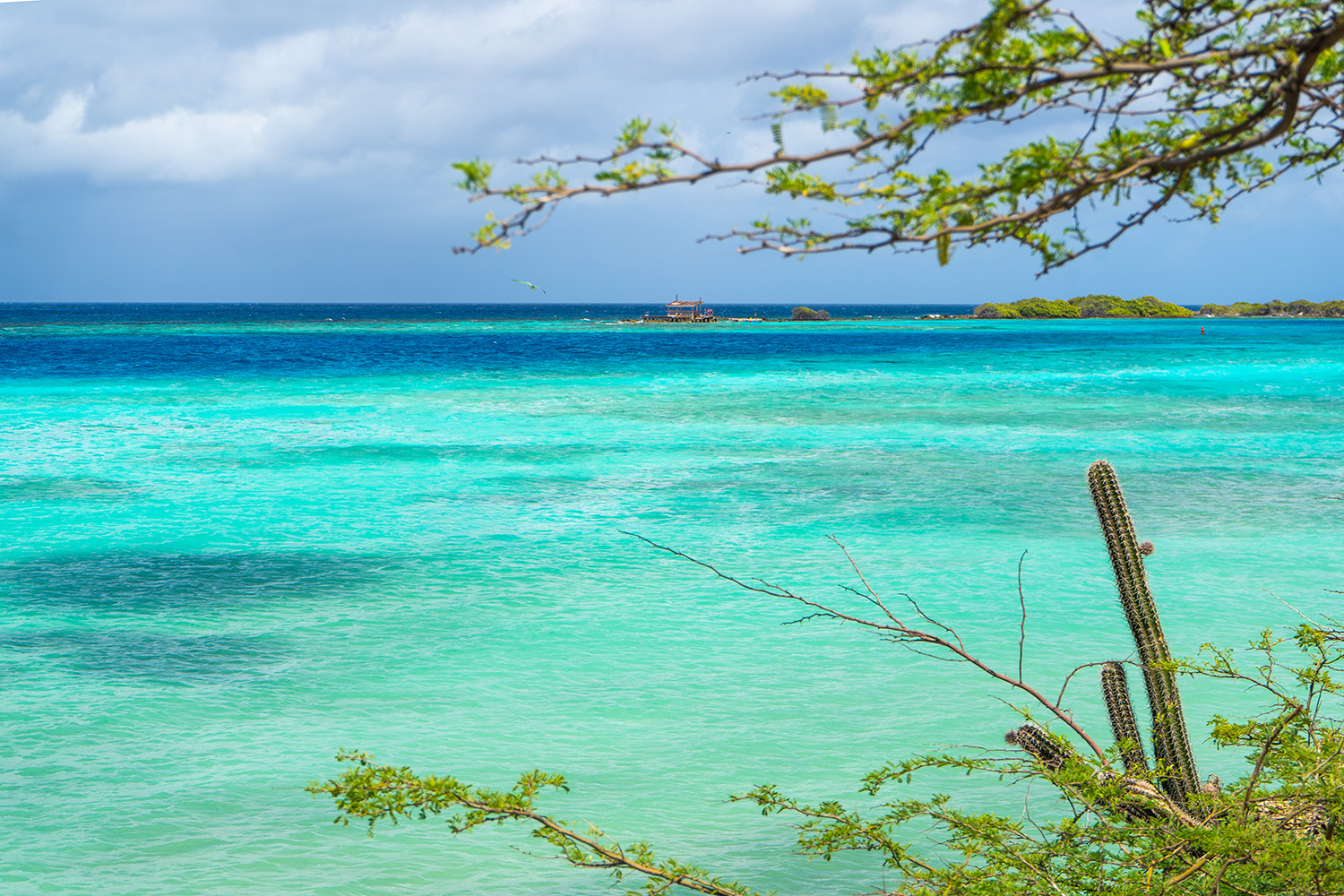 Tips on What to Do in Aruba