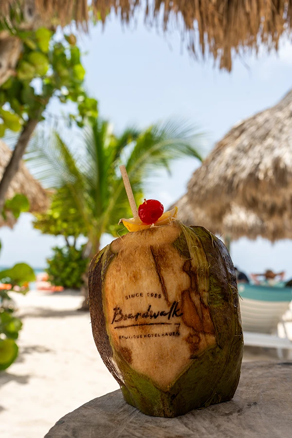 Enjoying a fresh coconut on Boardwalk's private beach in Palm Beach