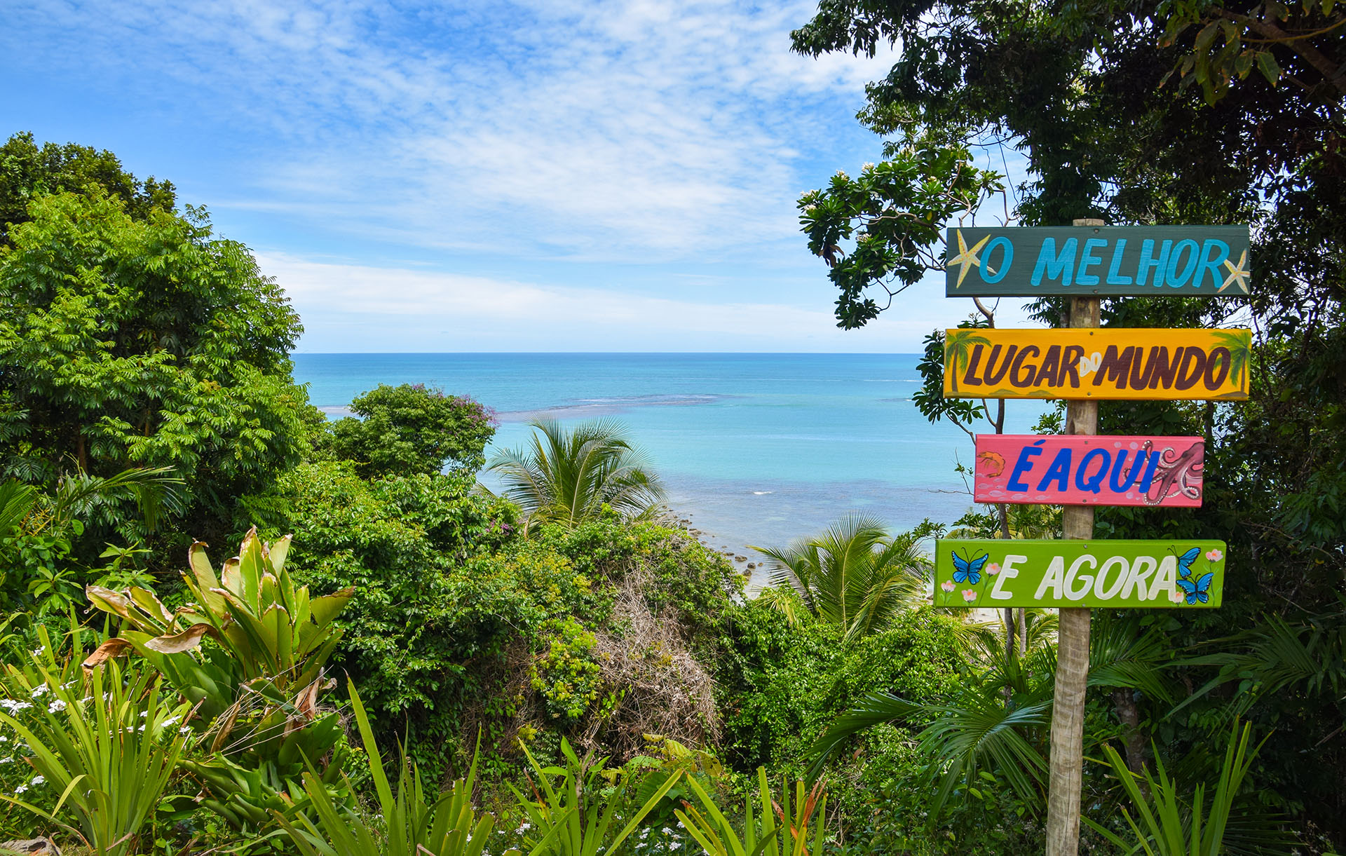 Brazil Tour, Brazil Travel Packages, from Rio de Janeiro to Salvador, including the Pantanal and Foz do Iguaçu